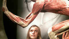 From google Got these actually schuelerin zeichnet wellenreiter