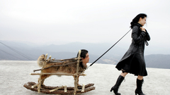 From lady vengence high