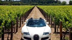 Front grand bugatti veyron valleys