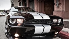 Front USA dodge challenger muscle cars Dodge Challenger SRT8