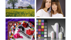 Frontier colors high