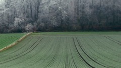 Frost fields