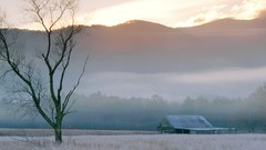 Frost fields Tennessee