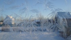 Frost Frosted Glass