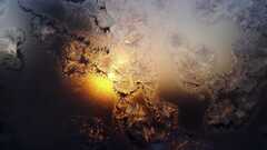 frost sun ice sunlight cold water yellow dark