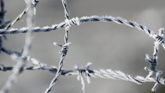 Frosty frost macro barbed