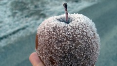 Frozen apple