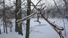 Frozen here too high