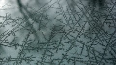 Frozen national geographic