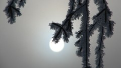 Frozen national geographic