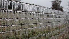 Frozen national geographic