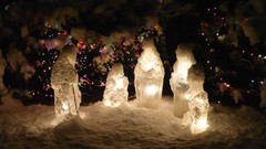 Frozen national geographic