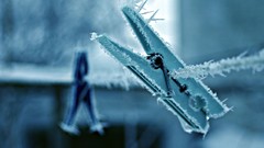 Frozen national geographic