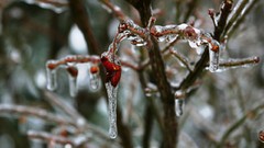 Frozen national geographic