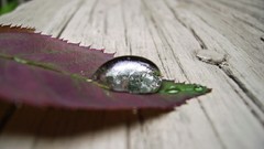 Frozen water drops national geographic