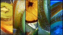 Fruit collection bubbles fresh