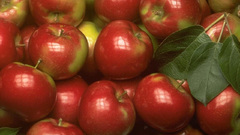 Fruit Food and Drinks