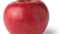 Fruits apples white background