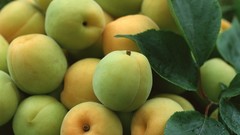 Fruits apricots