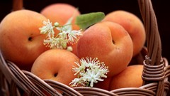 Fruits Basket fruits