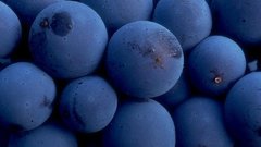 Fruits blueberries