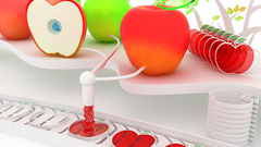 Fruits cgi apples K3