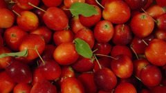 Fruits cherries