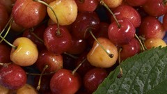 Fruits cherries