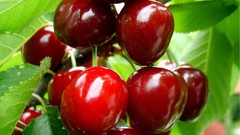 Fruits cherries
