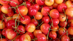 Fruits cherries Food and