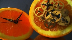 Fruits clocks oranges clockwork