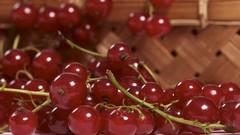 Fruits currant