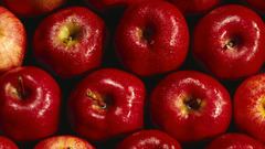 Fruits food apples apple