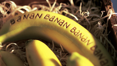Fruits food bananas writing