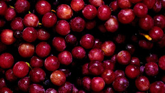 Fruits food Berries Food