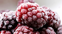 Fruits food frosty raspberries