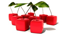 Fruits food white background