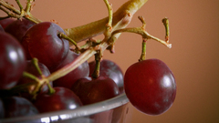 Fruits grapes