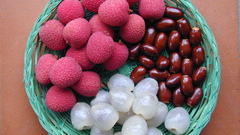 Fruits lychee