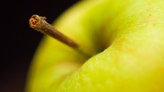 Fruits macro apples