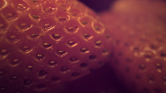 Fruits macro strawberries