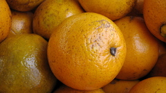 Fruits oranges