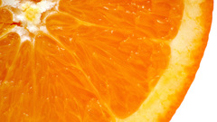 Fruits oranges orange slices