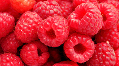 Fruits raspberries