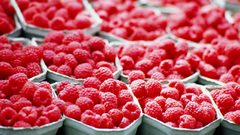 Fruits raspberries