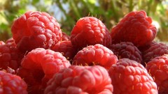 Fruits raspberries