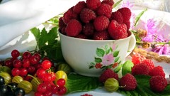 Fruits raspberries gooseberries cups redcurrants blackcurrants