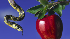 Fruits snakes Bible apples