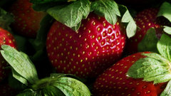 Fruits strawberries