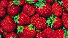 Fruits strawberries